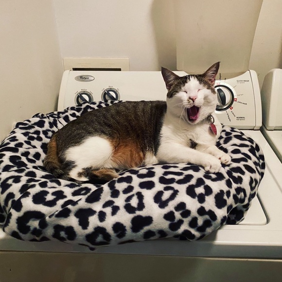 Meet your Posher, Mary - Picture 8 of 16